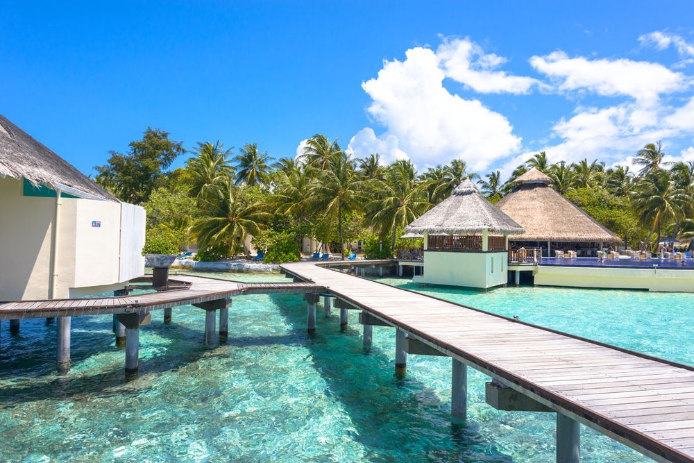 Luxury Wellness Resort